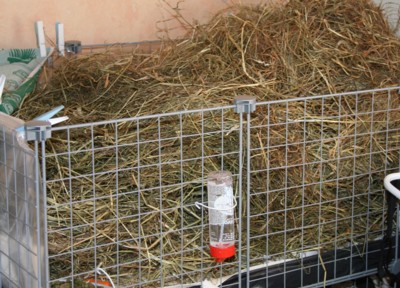 Marsujen hein&auml;is&auml; h&auml;kki