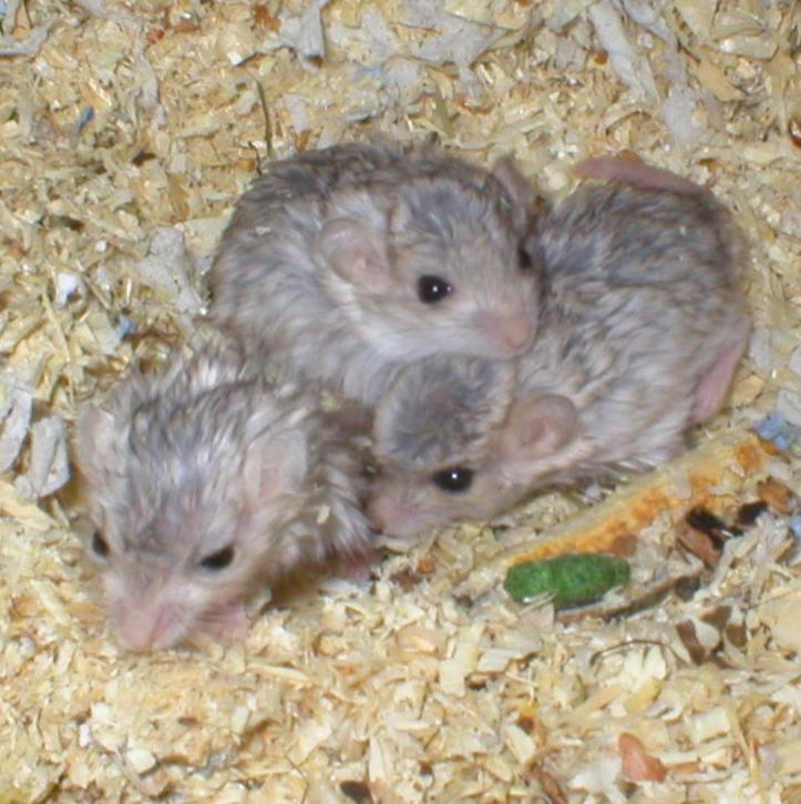 V&auml;h&auml;n isompina jo :) 