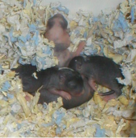 Toisesta kuvakulmasta 11.11